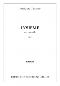 INSIEME_Cattaneo 1